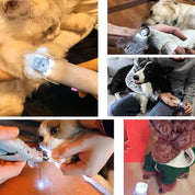 Leo | Snabbidentifiering Nageltrimmer – Skonsam vård för din hund