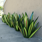 Handgefertigte wasserdichte Solar -Agaven -Gartenlampe - elegante Sonnenlichter im Freien für Gartenbeleuchtung 2