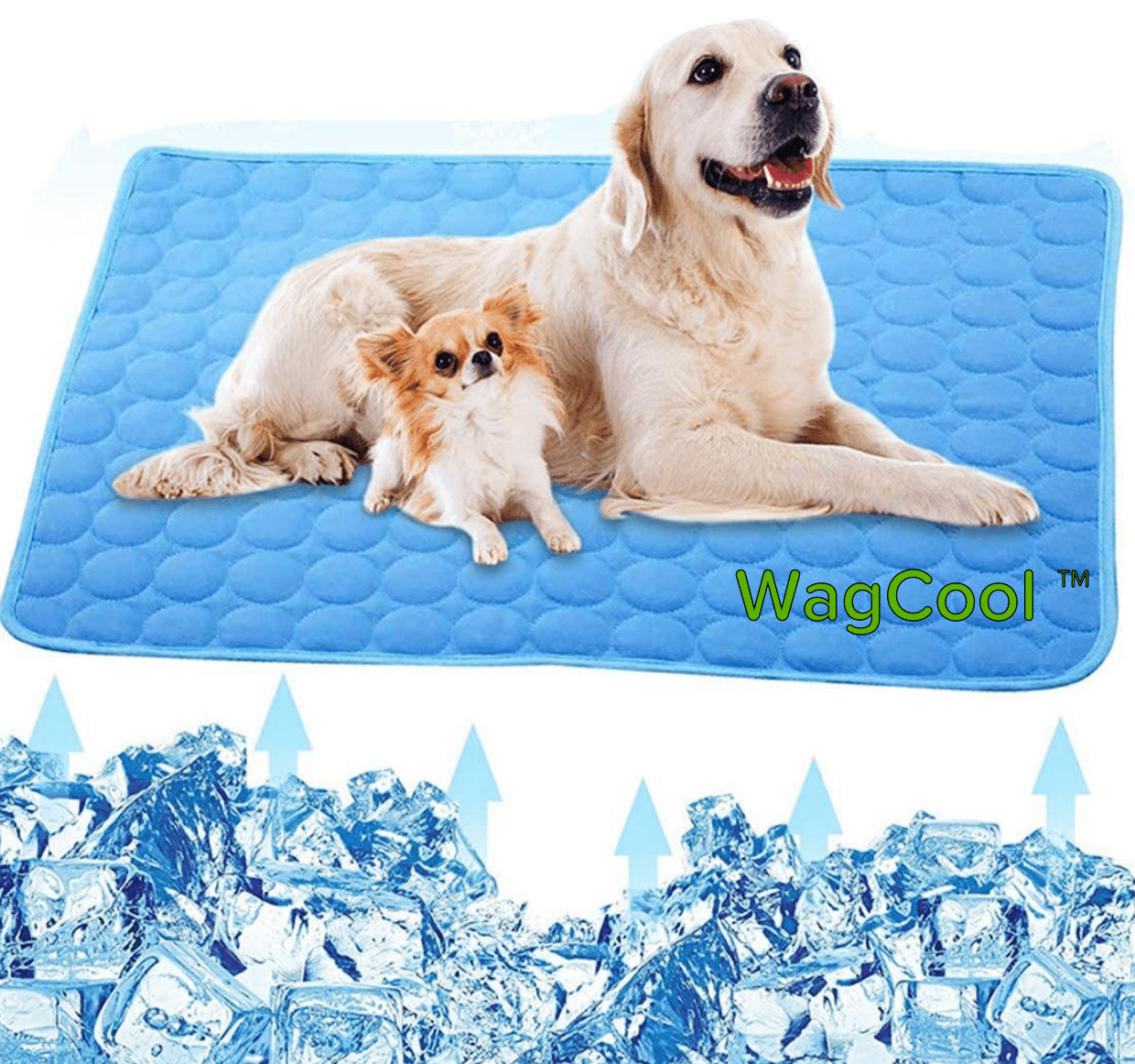 Kühlende Hundematte - CoolPet Mat 0