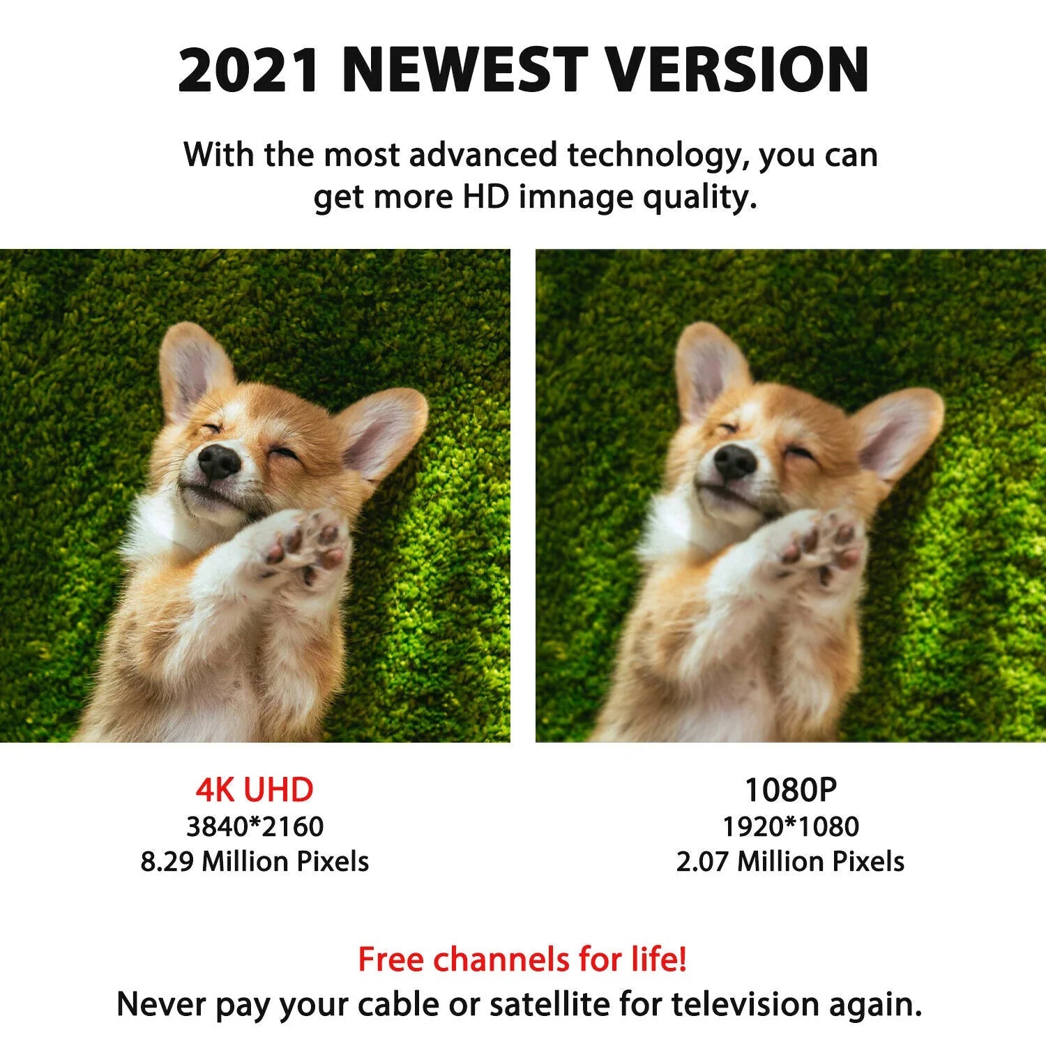 300 Meilen Innenräume Digital Amplified HDTV -Antenne mit Signal -Booster 4