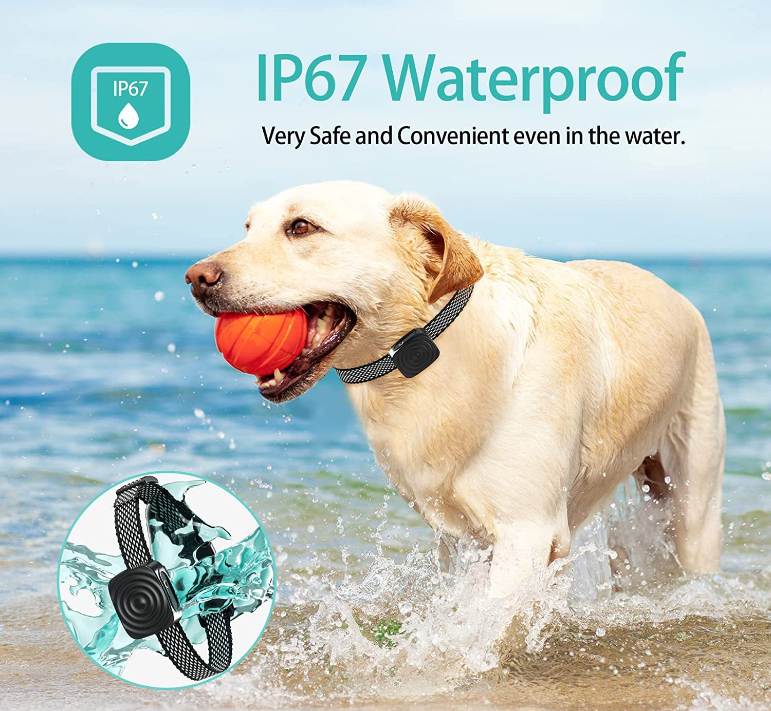 CalmPup | Antibellhalsband für kleine und mittelgroße Hunderassen – Sanftes Klangtraining 3