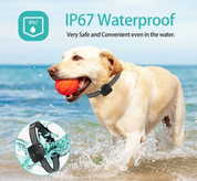 CalmPup | Antibellhalsband für kleine und mittelgroße Hunderassen – Sanftes Klangtraining 3