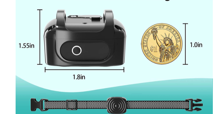 CalmPup | Antibellhalsband für kleine und mittelgroße Hunderassen – Sanftes Klangtraining 4