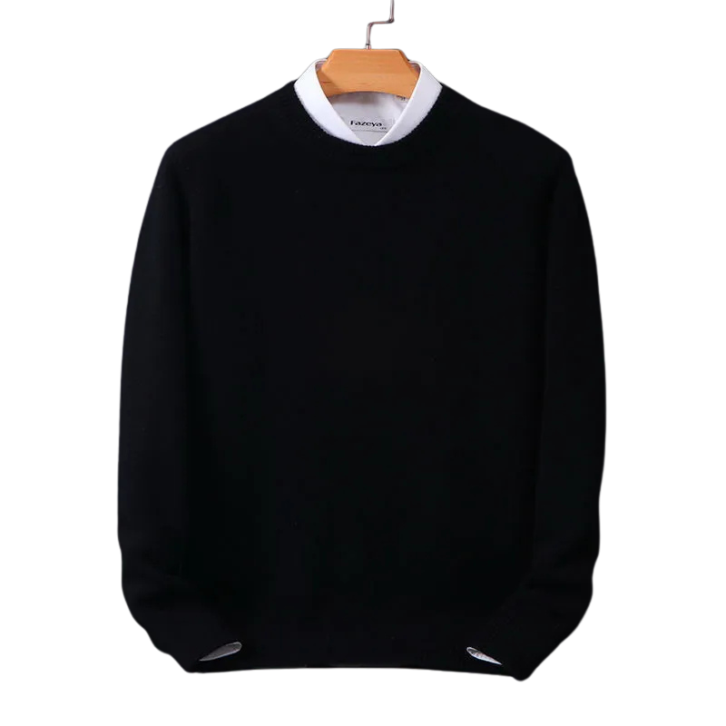 Daniel – Premium-Kaschmirpullover mit Rundhalsausschnitt 1