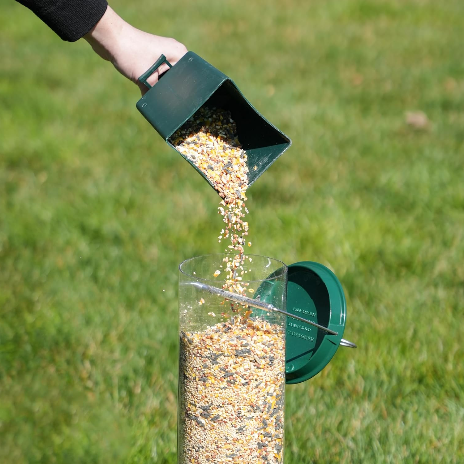 Eichhörnchen -Proof -Vogelhäuschen 2