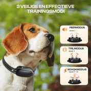 Elektrische Hundetrainingskragen mit Fernbedienung, wasserdicht, 16 einstellbare Stoßstufen, 1000 m Range, Piepton- und Vibrationsmodi 3