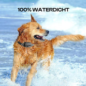 Elektrische Hundetrainingskragen mit Fernbedienung, wasserdicht, 16 einstellbare Stoßstufen, 1000 m Range, Piepton- und Vibrationsmodi 4
