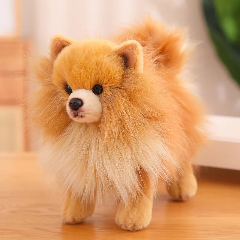 Hochwertiger Plüsch-Pomeranian – Weiche, realistische Hunde-Plüschtiere für Kinder, 30 cm groß 0