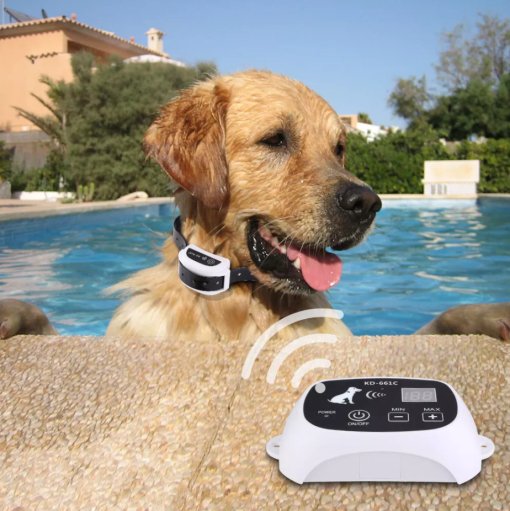 Kabelloses Hundezaunkragensystem - unsichtbar und wasserdicht 2
