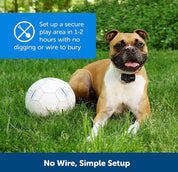 Kabelloses Hundezaunkragensystem - unsichtbar und wasserdicht 4