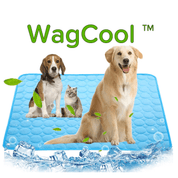Kühlende Hundematte - CoolPet Mat 1