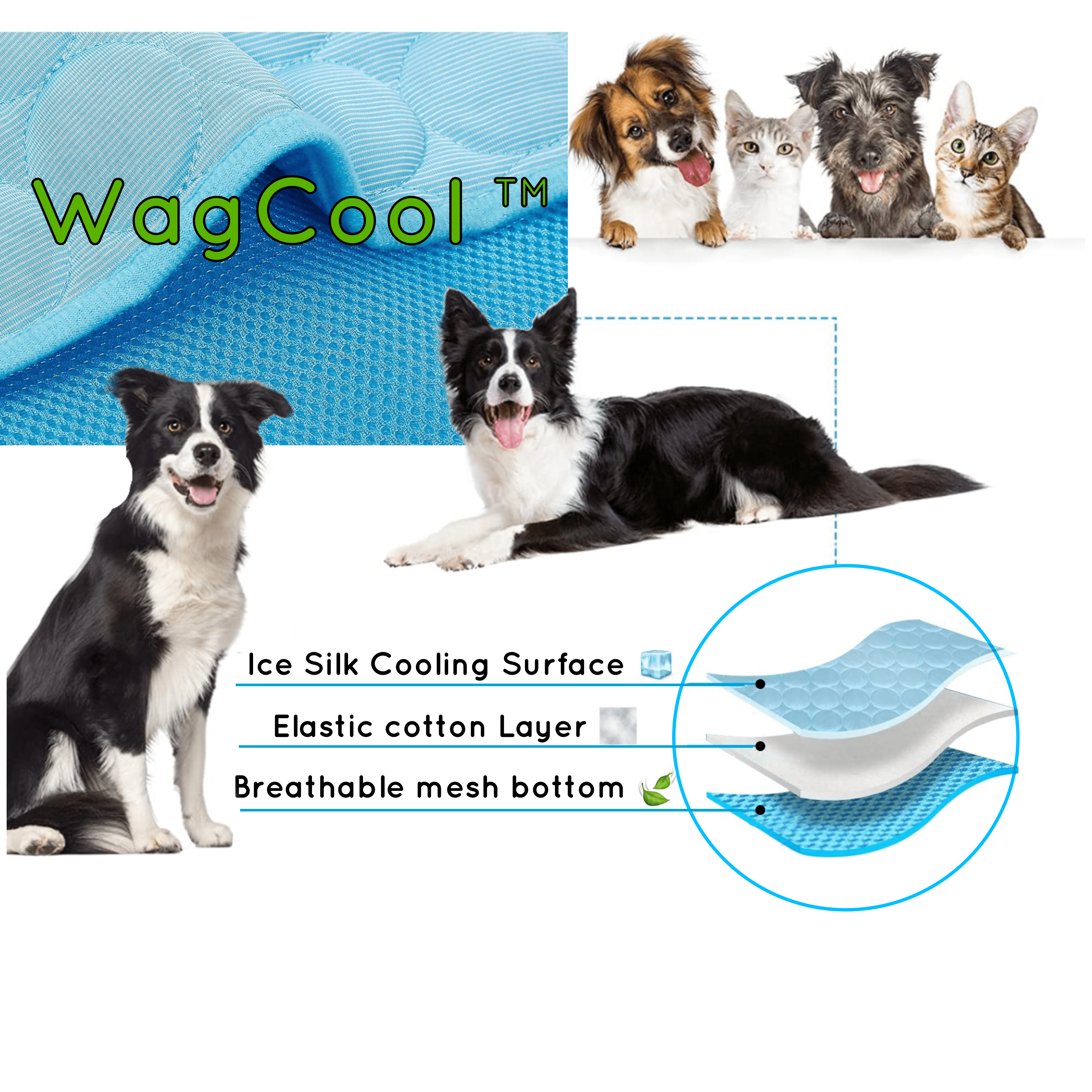 Kühlende Hundematte - CoolPet Mat 3