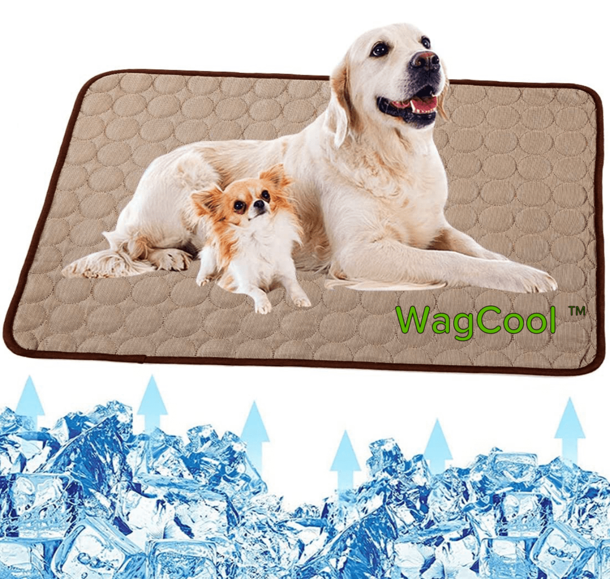 Kühlende Hundematte - CoolPet Mat 4