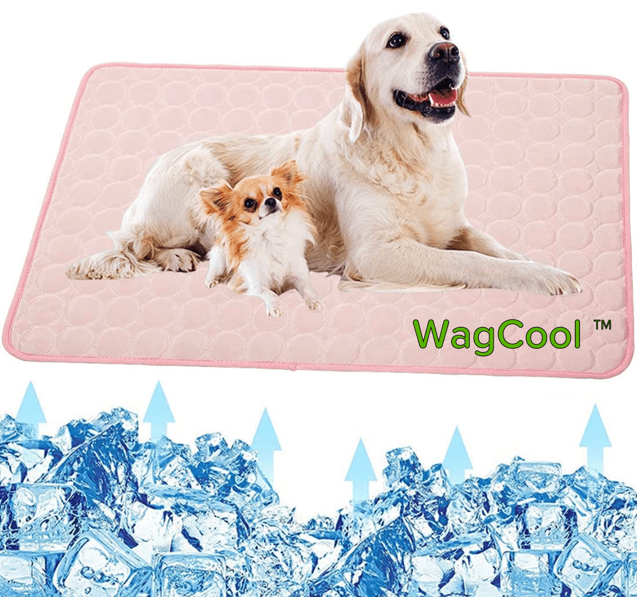 Kühlende Hundematte - CoolPet Mat 5
