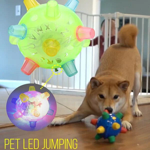 Neue Sprungaktivierungsball für Hunde 4