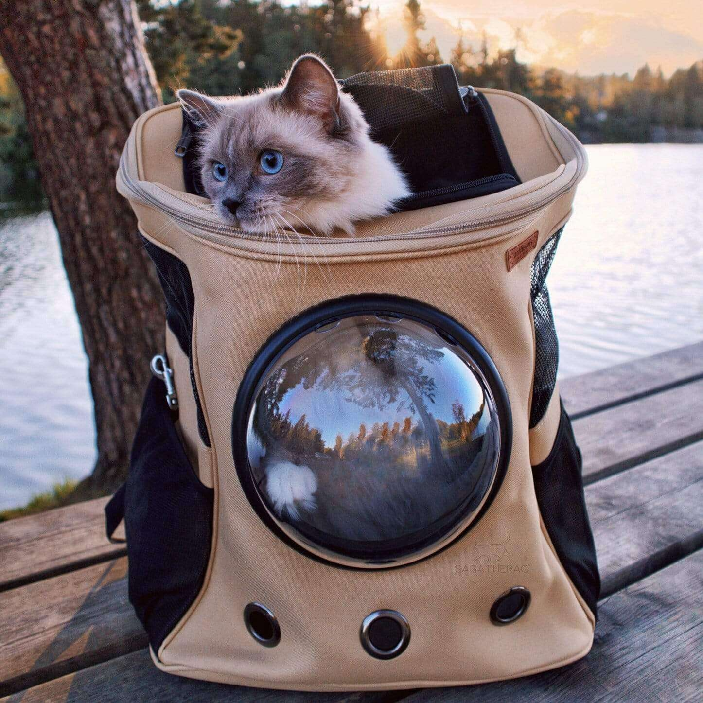 Reisekatze -Rucksack für größere Katzen 1
