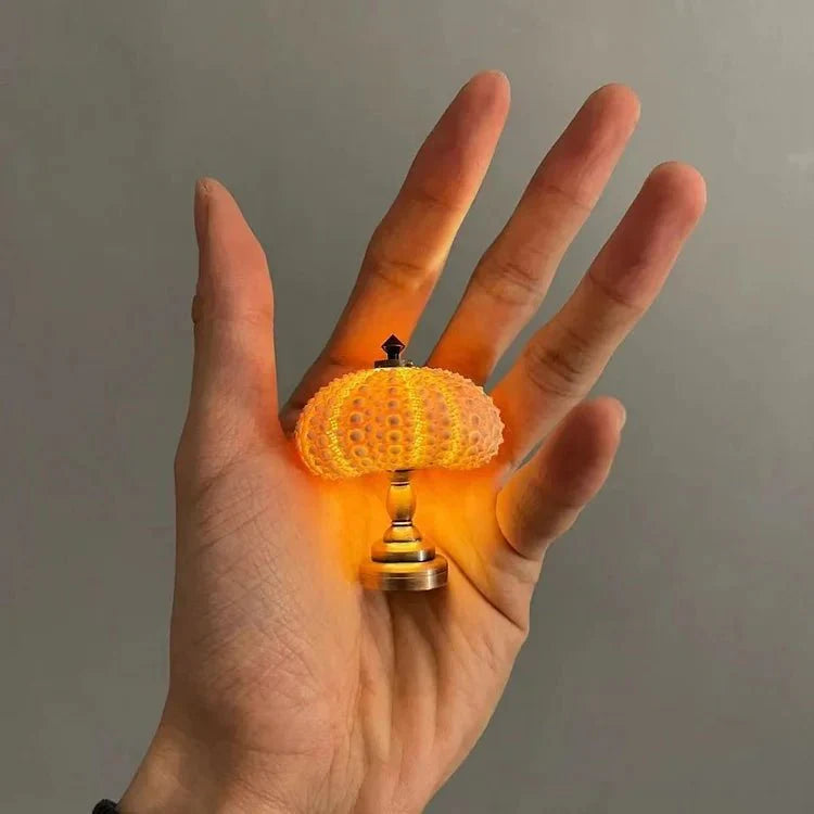 Seeigel-Nachtlampe für Ihr Interieur 2
